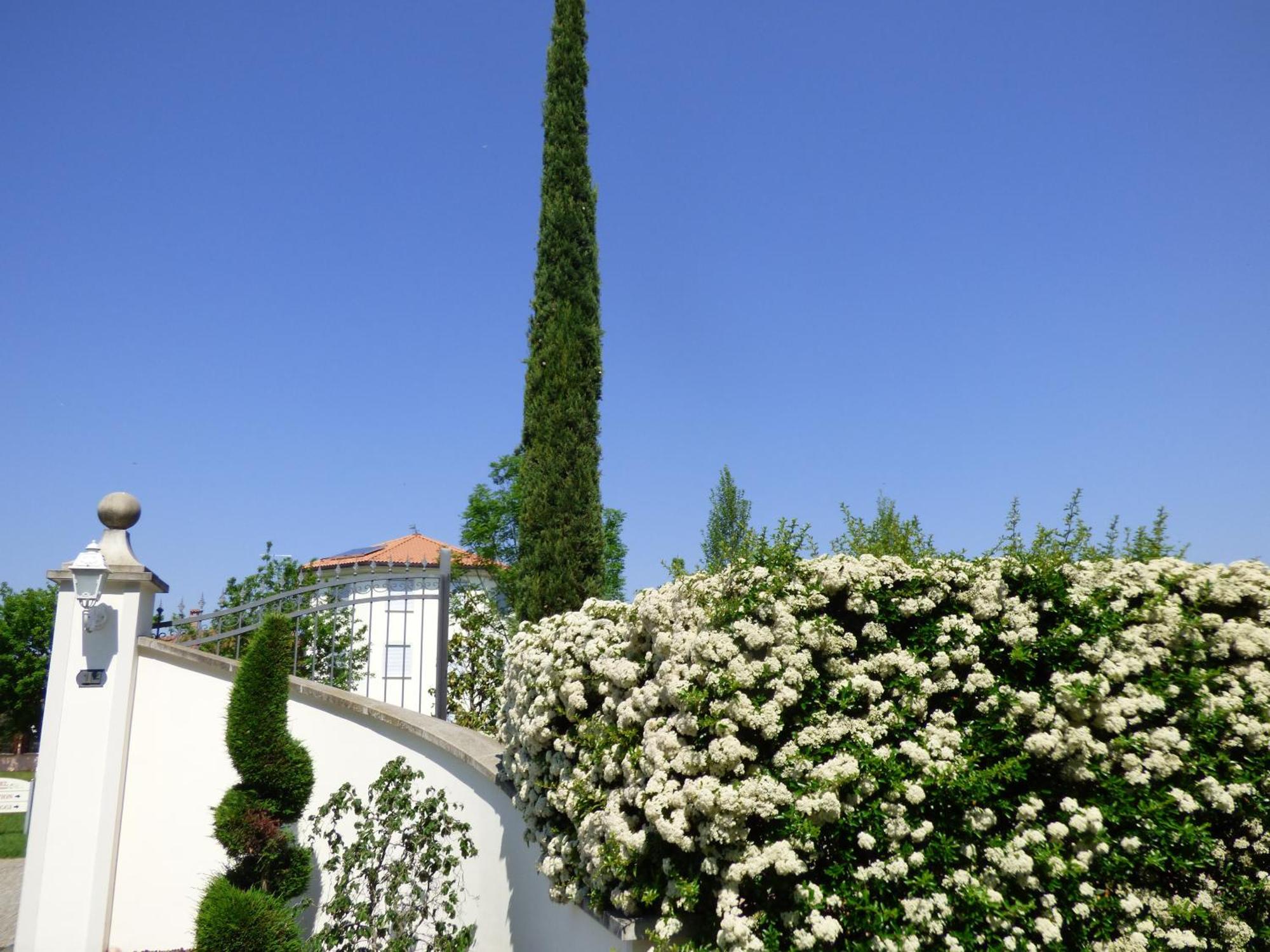 Boutique Hotel San Giovanni San Giovanni in Persiceto Exterior photo