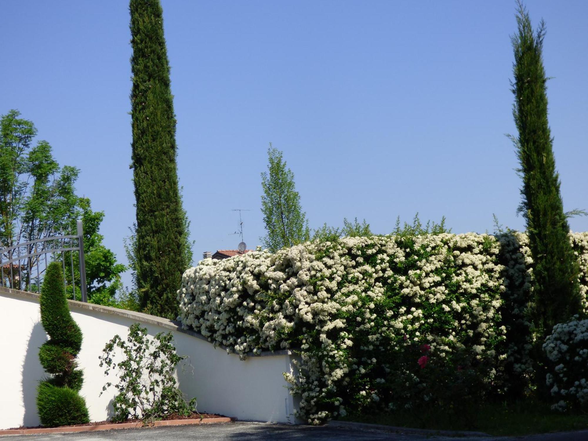 Boutique Hotel San Giovanni San Giovanni in Persiceto Exterior photo